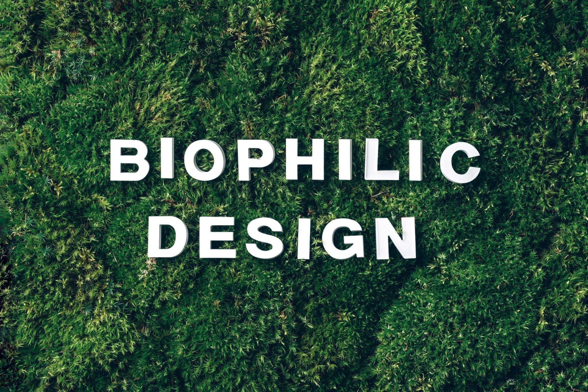 Biophilic Home Design